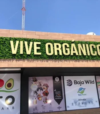 118650627_3396661927030796_5277079066850465086_n