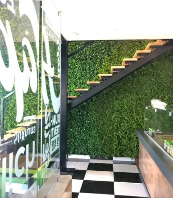 73029326_2635007546529575_8351870924219219968_n